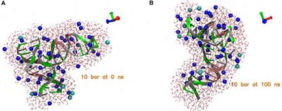 Stability and structural evolution of double-stranded DNA molecules under high pressures: A molecular dynamics study